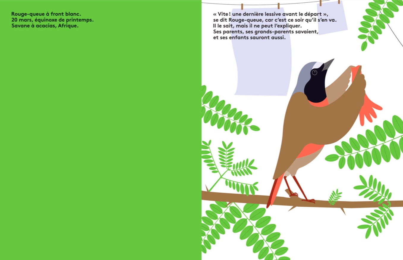 Guide of the Wild – Redstart Interactive